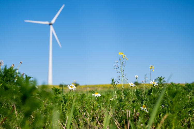 Tyrimas: Lietuvos gyventojai energetikos sektorių su atsinaujinančiais energijos ištekliais sieja dažniau